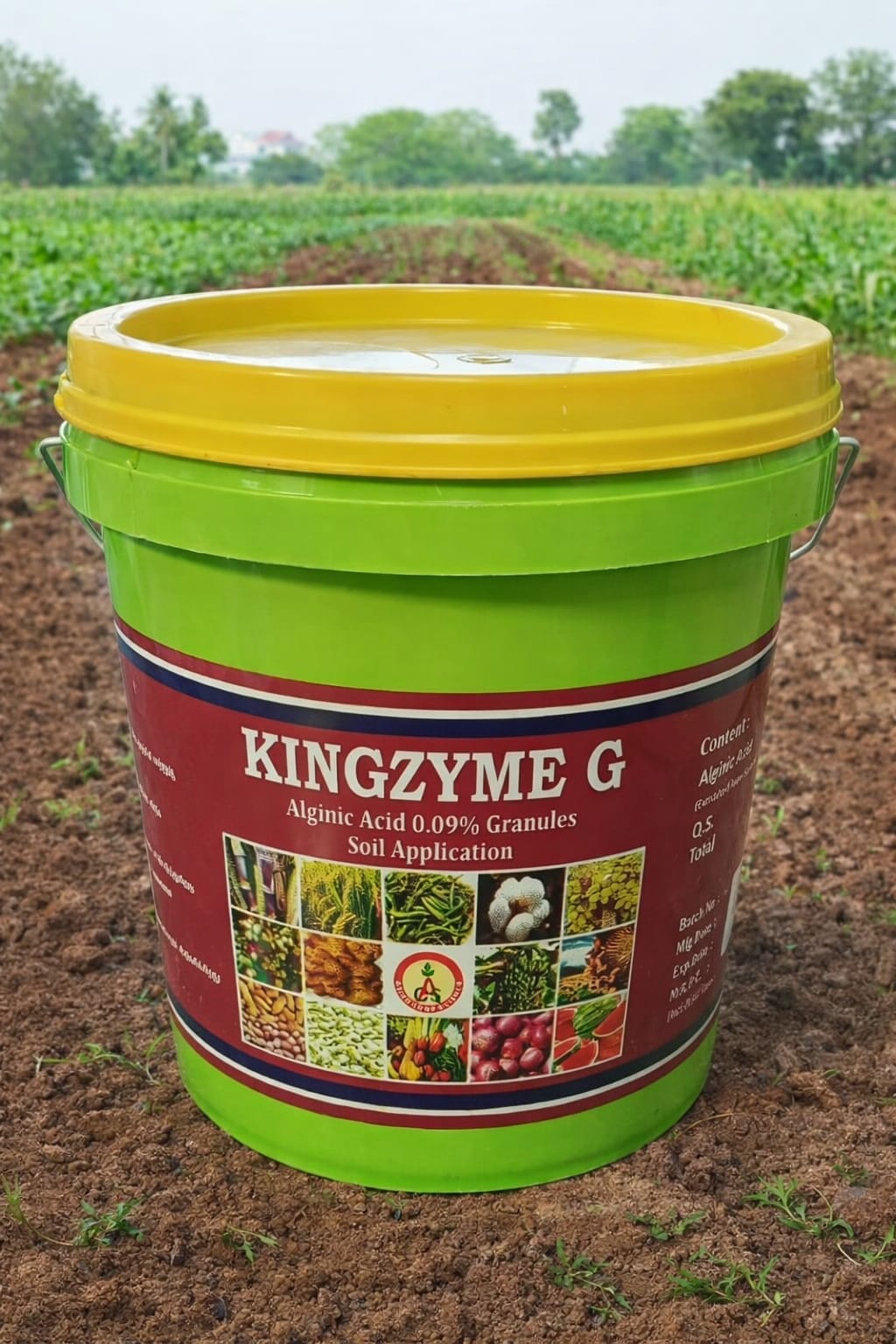 King Zyme-G - Bio Stimulant by Asian Crop Science