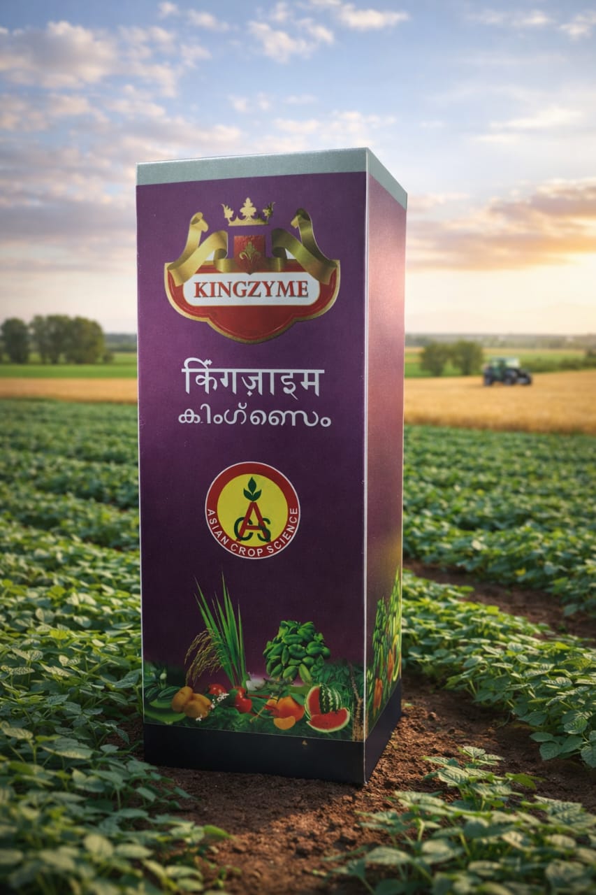 King Zyme - Bio Stimulant by Asian Crop Science